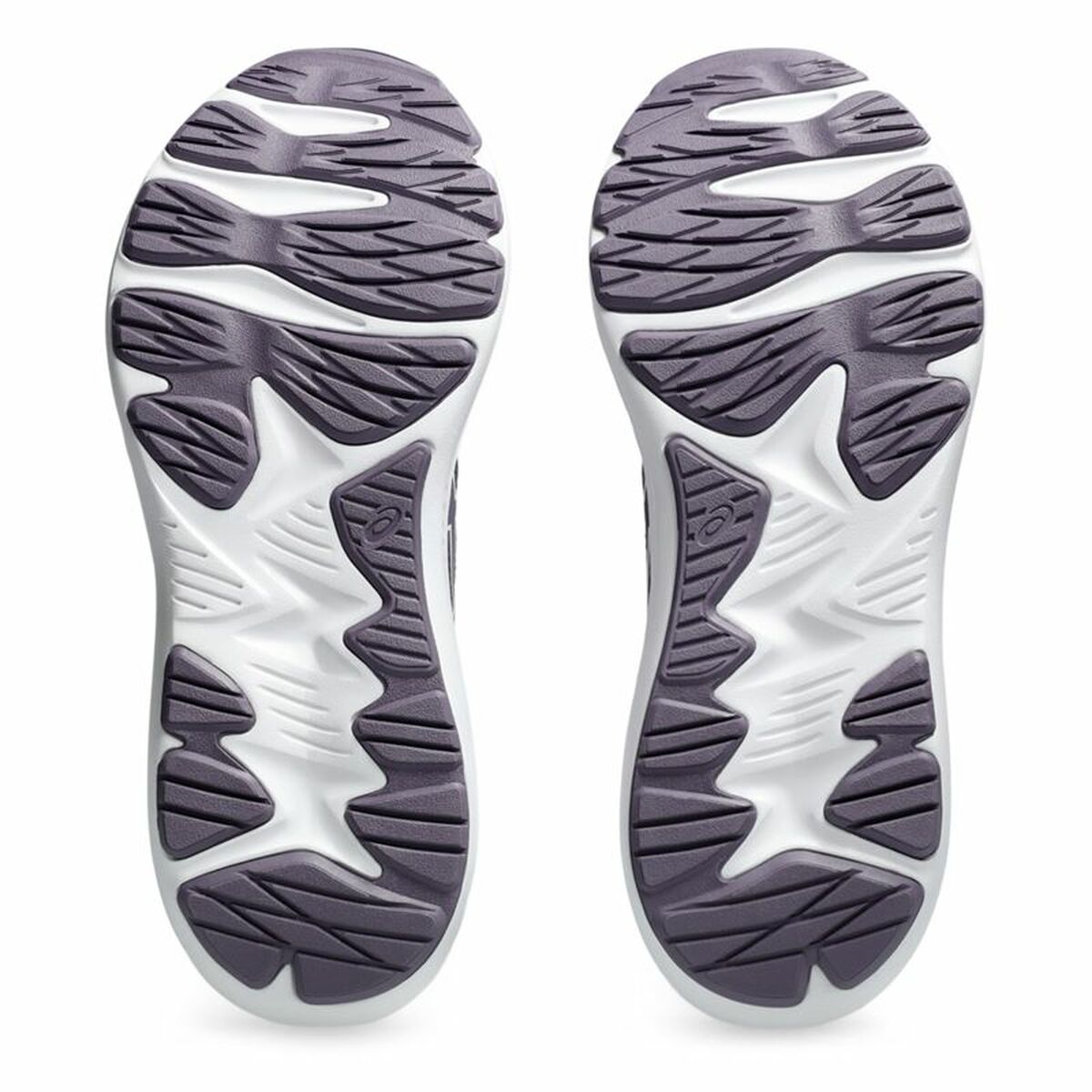 Asics Jolt 5 Lila